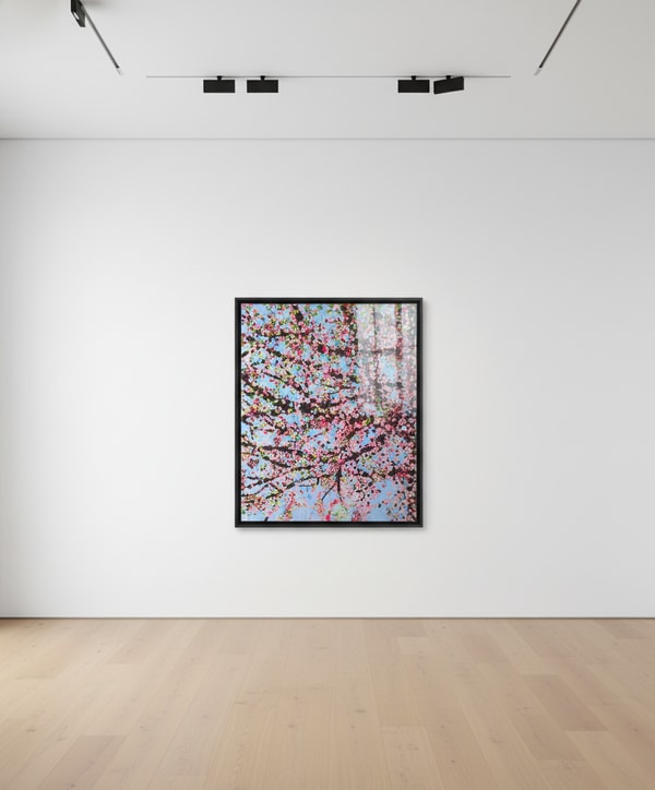 Damien Hirst - The Virtues Loyalty H9-7, 2021, Laminated Giclée print on aluminium composite panel