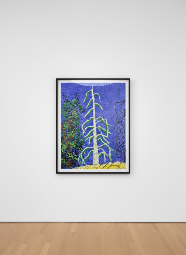 David Hockney - The Yosemite Suite No. 14, 2010, Ipad drawing on paper