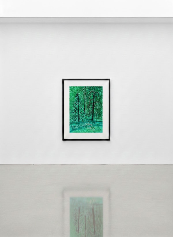David Hockney - The Yosemite Suite No. 16, 2010, Ipad drawing on paper