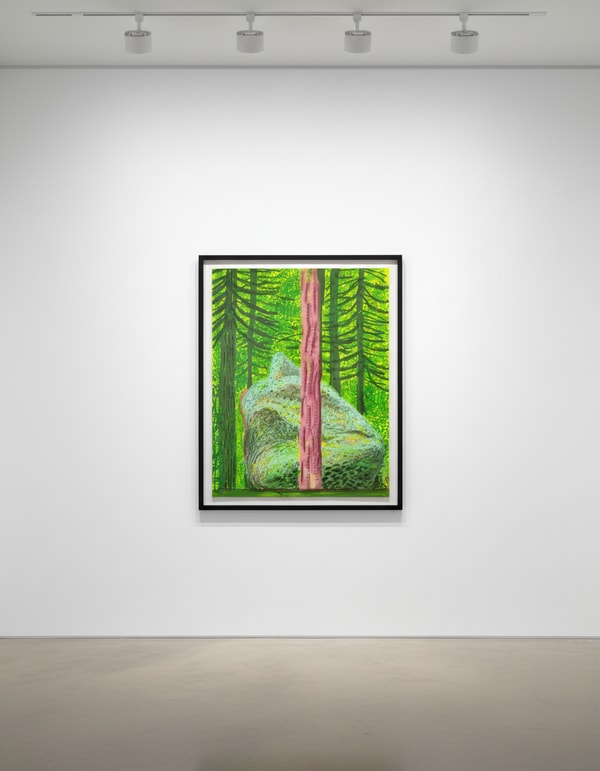 David Hockney - The Yosemite Suite No. 19, 2010, Ipad drawing on paper