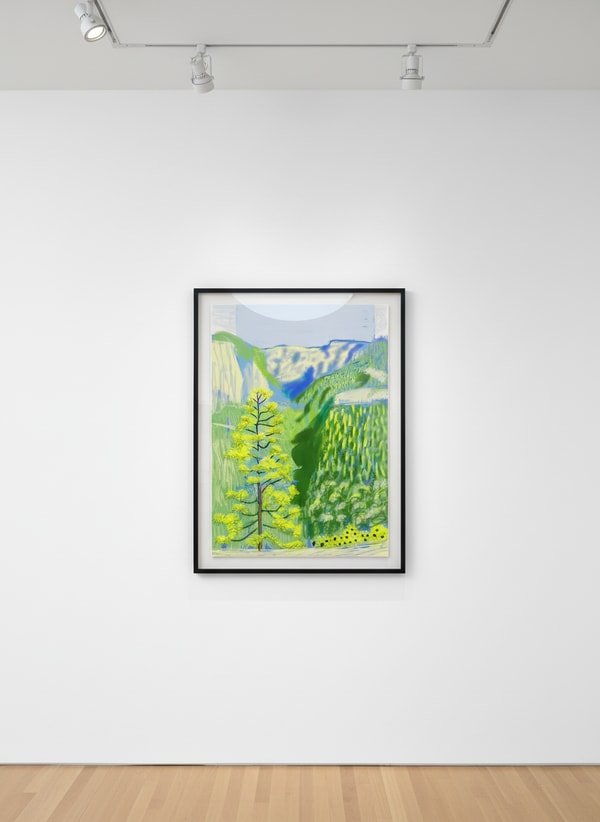 David Hockney - The Yosemite Suite No. 20, 2010, iPad drawing on paper