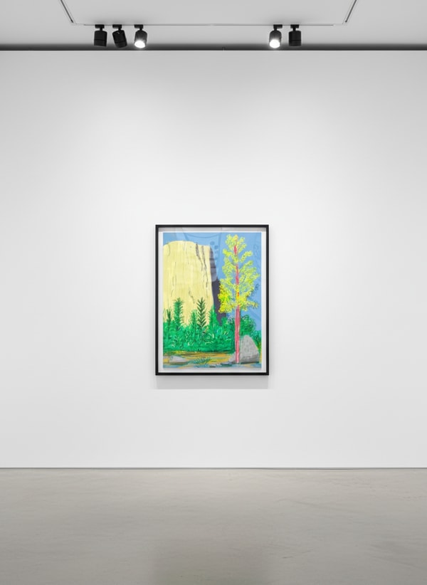 David Hockney - The Yosemite Suite No. 22, 2010, iPad drawing on paper