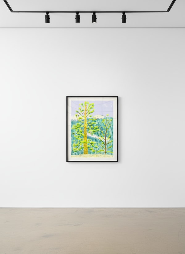David Hockney - The Yosemite Suite No. 8, 2010, Ipad drawing on paper