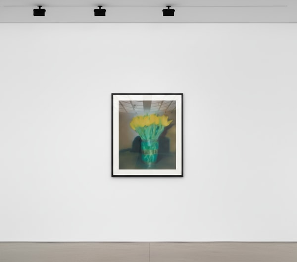 Gerhard Richter - Tulpen P17, 2017, Diasec-mounted chromogenic print mounted on aluminum