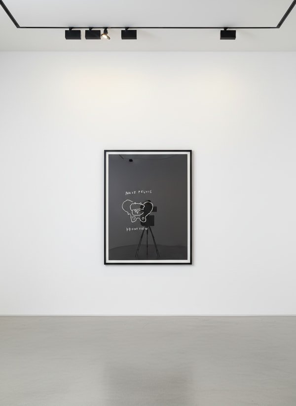 Jean-Michel Basquiat - Male Pelvis, Front View, from Anatomy, 1982, Screen print