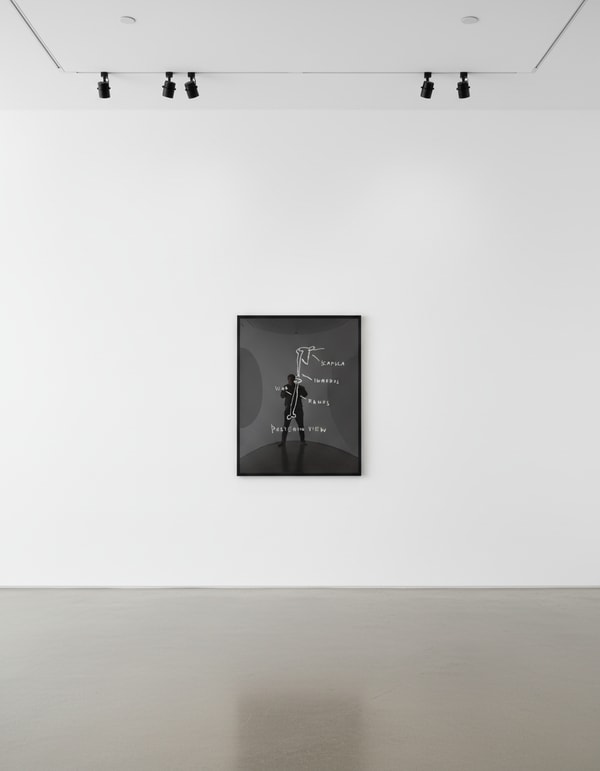 Jean-Michel Basquiat - Posterior View, from Anatomy, 1982, Screen print