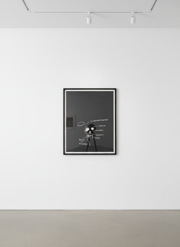 Jean-Michel Basquiat - Ramus of Mandible, from Anatomy, 1982, Screen print