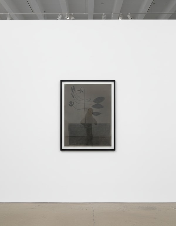 Jonas Wood - Black Plant, 2010, Gouache and colored pencil on paper