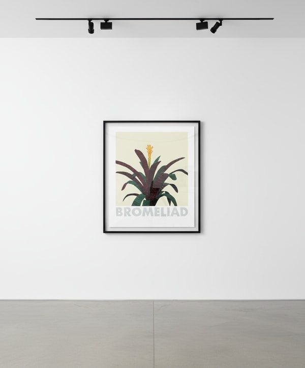 Jonas Wood - Bromeliad, 2020, 13 color screenprint