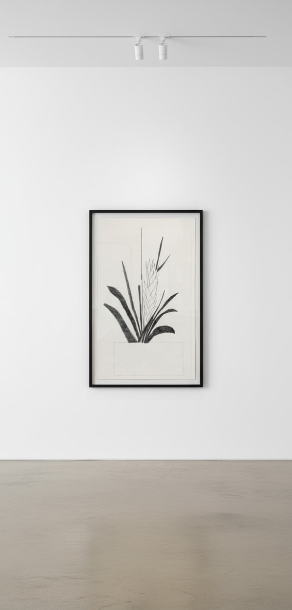Jonas Wood - Large Bromeliad, 2011, Graphite on paper