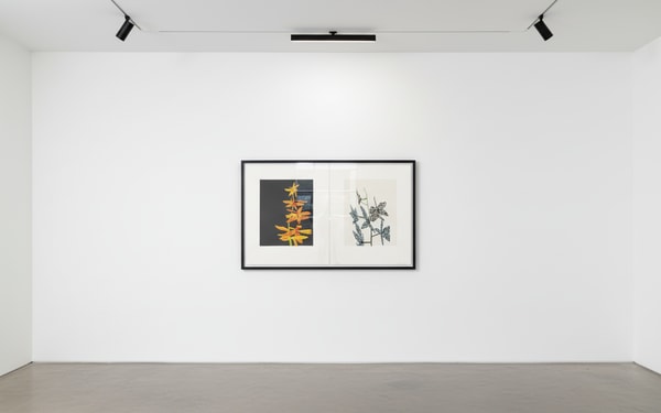 Jonas Wood - Untitled (Orchid Diptych), 2015, Silkscreen