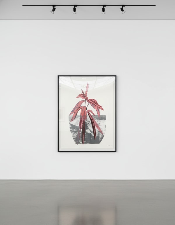 Jonas Wood - Untitled (pink), 2014, Lithograph and screenprint in colors