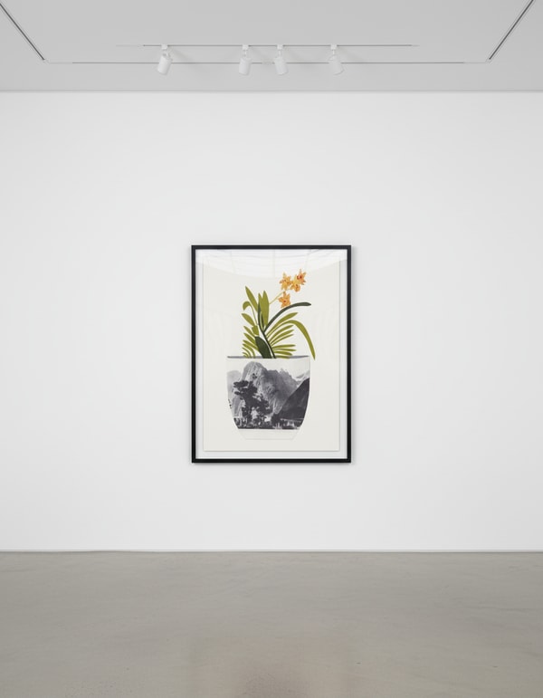 Jonas Wood - Untitled (Yellow Orchid Pot), 2014, Lithograph and screenprint