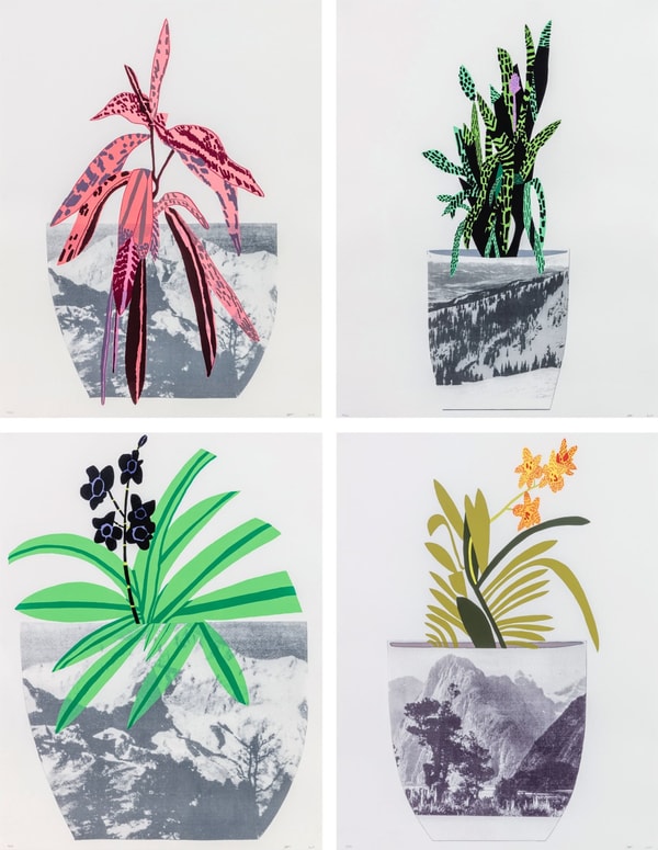 Jonas Wood - Untitled, 2003, Charcoal on thick paper