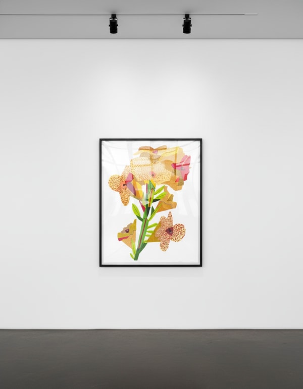 Jonas Wood - Yellow Flower, 2022, 27 colour screenprint on 410gsm Somerset tub sized Satin Enhanced White paper