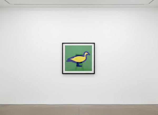 Julian Opie - Small Birds Australian Wood Duck, 2020, Wall mounted acrylic relief