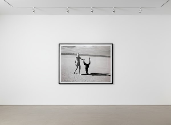 Michel Comte - Beauty and the Beast (Monkey IV), 1996, Chromogenic print