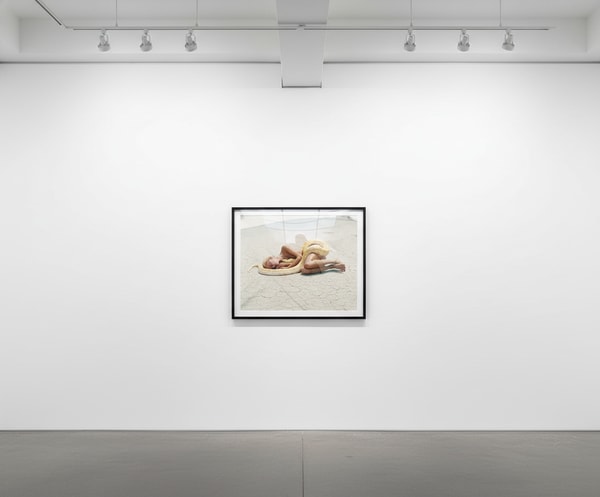 Michel Comte - Beauty and the Beast (Snake), Archival pigment print