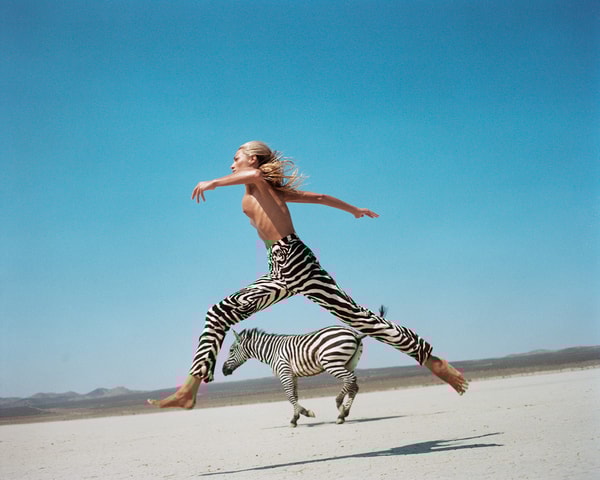 Michel Comte - Beauty and the Beast (Zebra), Archival pigment print