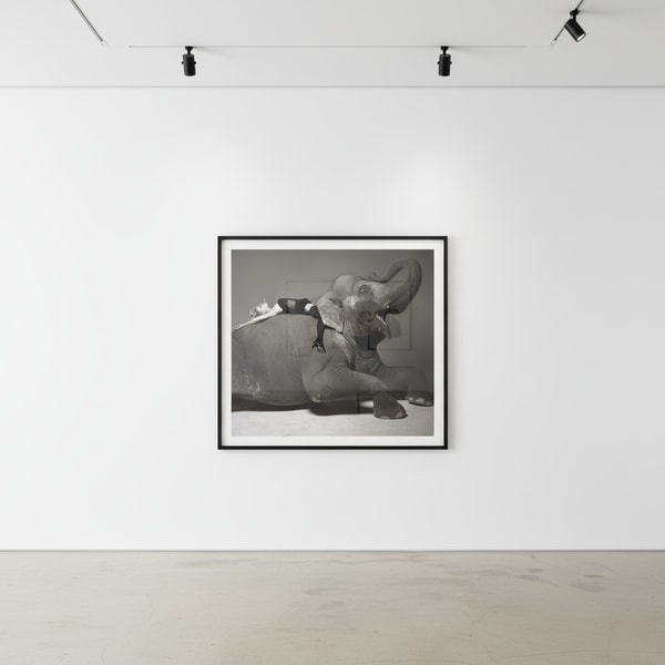 Michel Comte - Daryl Hannah, 1996, Oversized chromogenic print