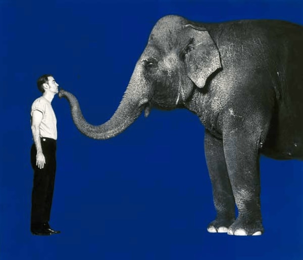 Michel Comte - David Bryne, GQ (blue), 1991, Digital c print