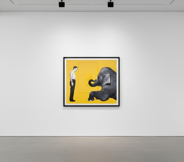 Michel Comte - David Bryne, GQ (yellow), 1991, Digital c print