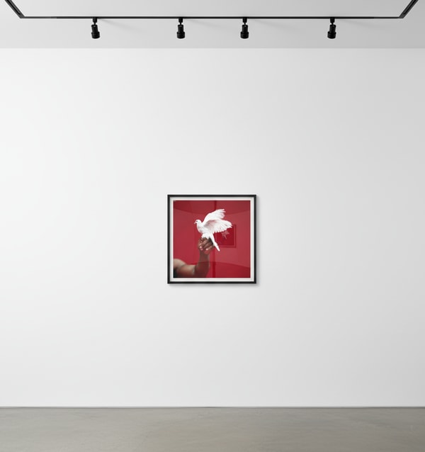 Michel Comte - Mike Tyson (hand), Digital c print