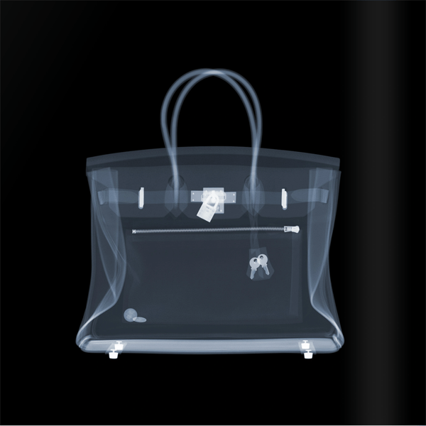 Nick Veasey - Hermes Birkin Bag