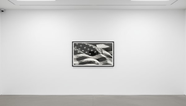 Robert Longo - Untitled (Flag - Large), 2013, Pigment Print