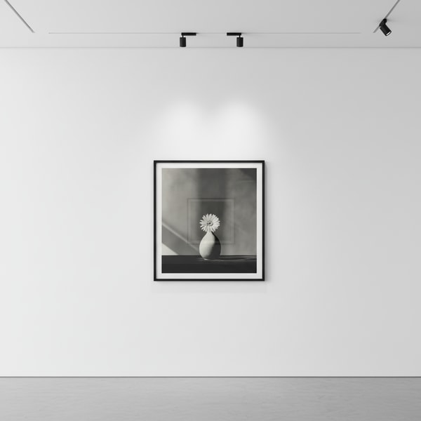 Robert Mapplethorpe - African Daisy, 1982, Silver Gelatin print