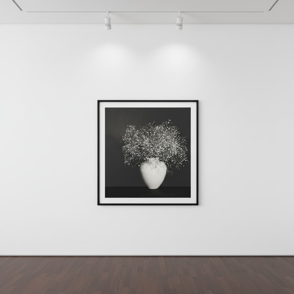 Robert Mapplethorpe - Baby's Breath, 1978, Silver Gelatin print