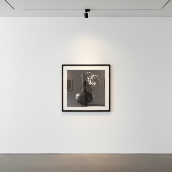 Robert Mapplethorpe - Parrot Tulip in Black Vase, 1985, Gelatin Silver Print