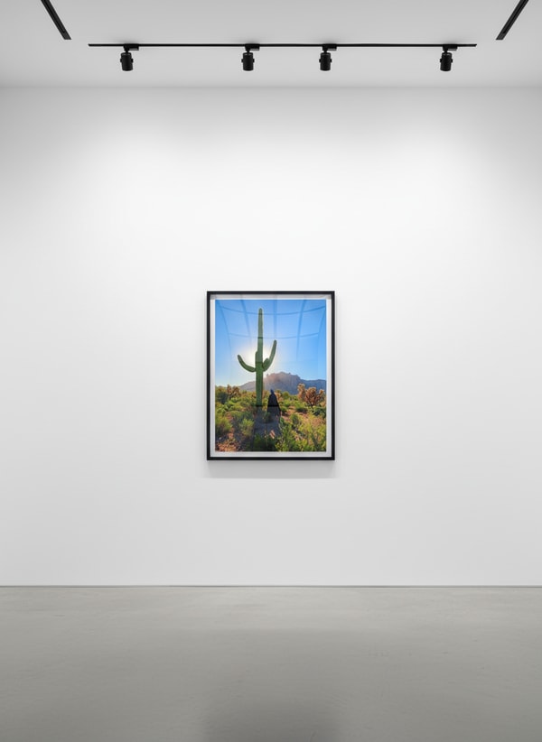 Sebastian Magnani - Daily Bat - Bat Signal, 2022, Inkjet Canson Rag Photographique 310g