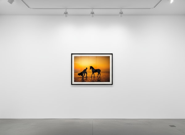 Sebastian Magnani - Daily Bat - Wild Spirits, 2022, Inkjet Canson Rag Photographique 310g