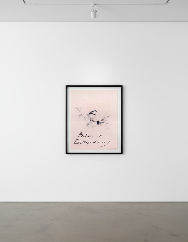 Tracey Emin - Believe In Extraordinary, 2015, Two color lithographic print on 300 gsm Somerset paper