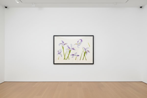 Alex Katz - Blue Flags, 2014, Japanese woodblock in seventeen colors