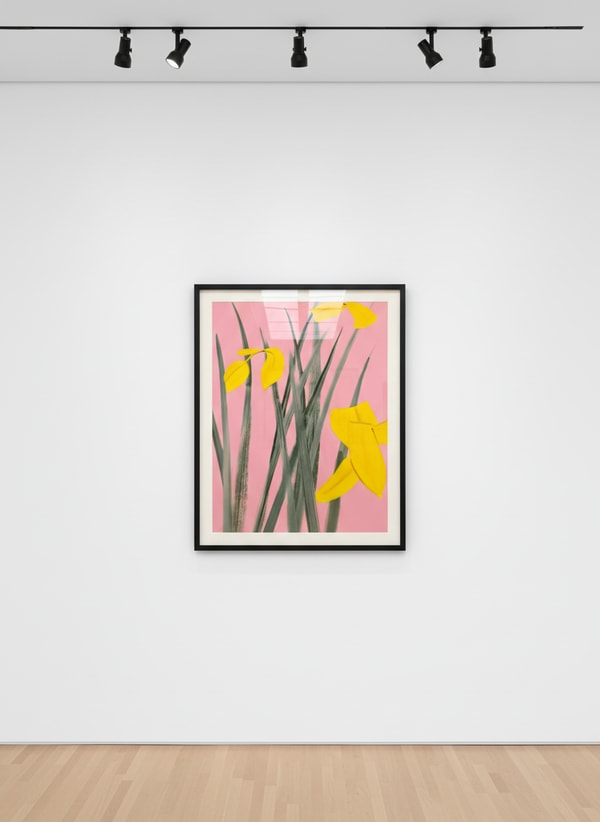 Alex Katz - Yellow Flags 3, 2020, Archival pigment inks on Crane Museo Max 365 gsm fine art paper