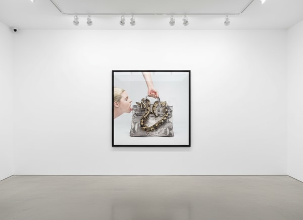 Tyler Shields - Birkin Bite, 2016, Digital C Print