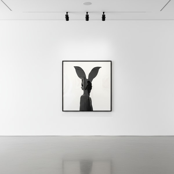 Tyler Shields - Bunny Silhouette, 2020, Digital c print