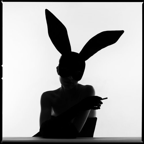 Tyler Shields - Bunny Silhouette Smoke, 2022, Digital c print