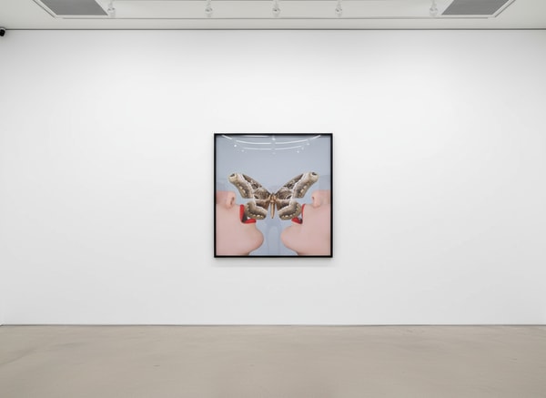 Tyler Shields - Butterfly, 2018, Digital c print