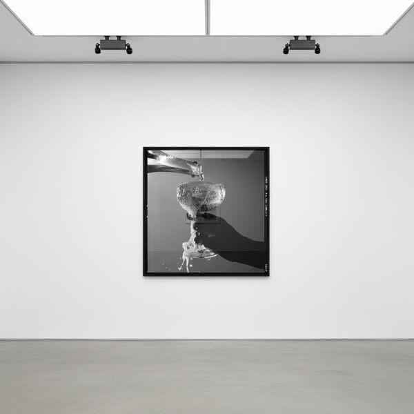 Tyler Shields - Champagne, 2019, Digital c print