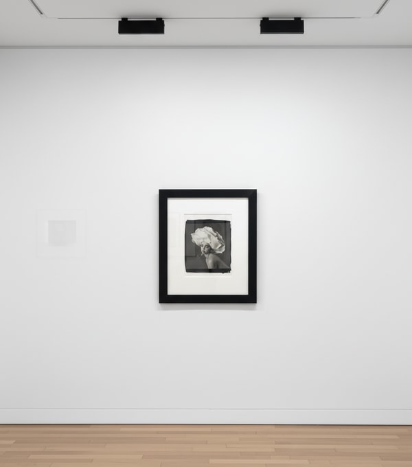 Tyler Shields - Flower Girl, 2021, Digital C Print