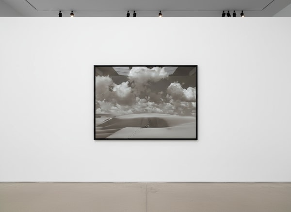 Tyler Shields - Lioness, 2020, Digital c print