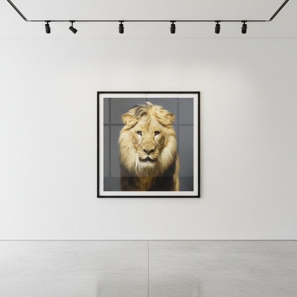 Tyler Shields - Luke, 2018, Digital c print