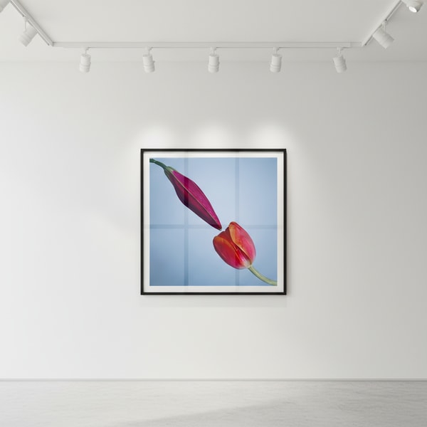 Tyler Shields - Pollination, 2020, Digital c print