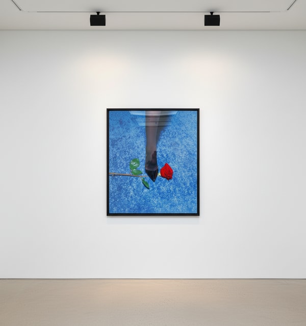 Tyler Shields - Red Rose, 2024, Digital C Print