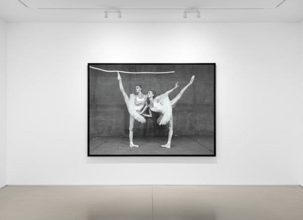 Tyler Shields - Swans, 2018, Digital c print