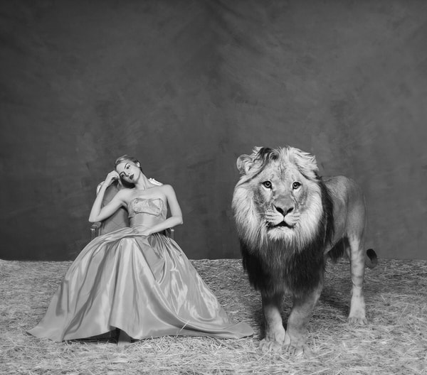 Tyler Shields - The Lady and The Lion I, 2019, Digital c print