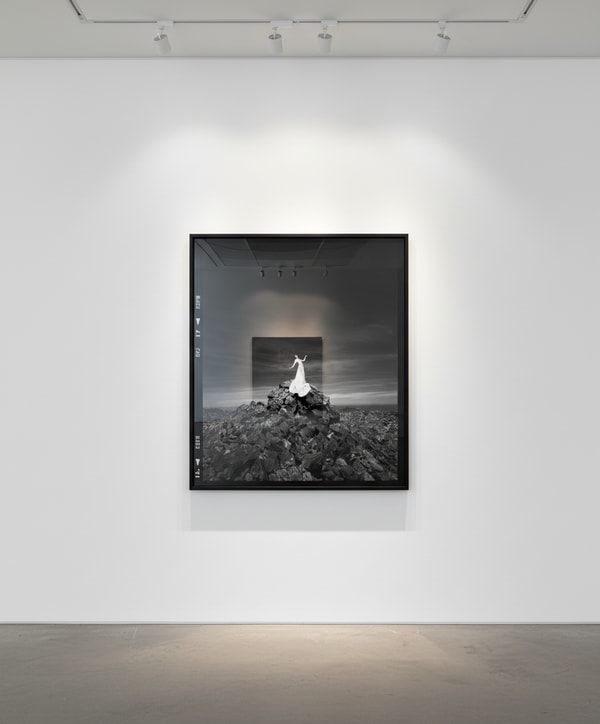 Tyler Shields - Top of the World II, 2020, Digital c print